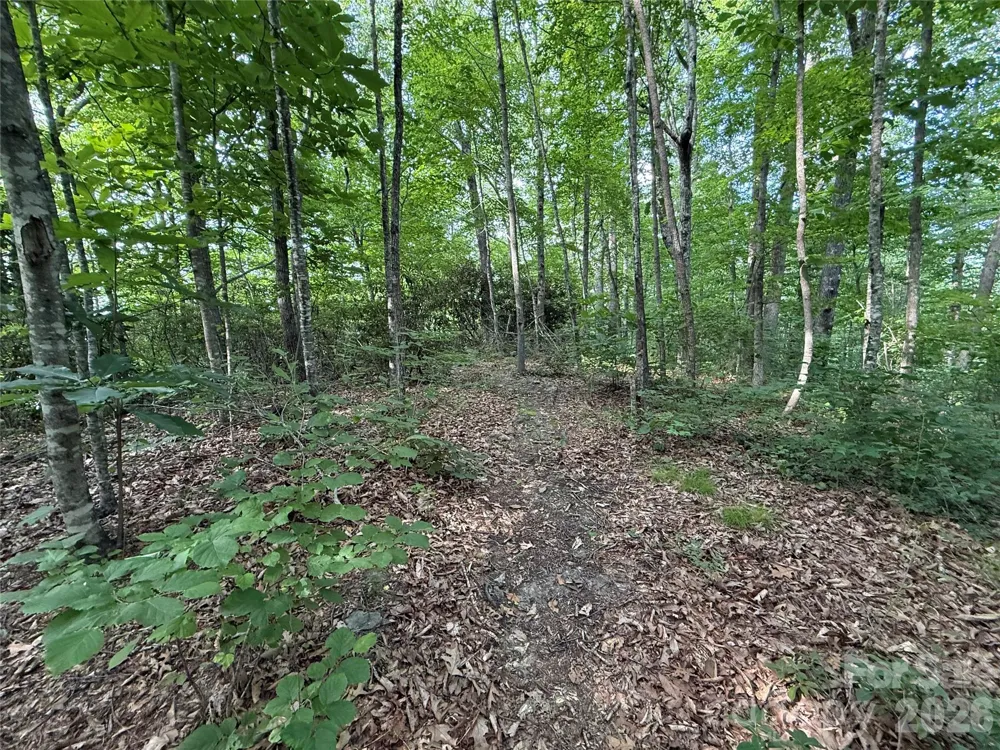 64 Clay View Drive Fairview, NC 28730