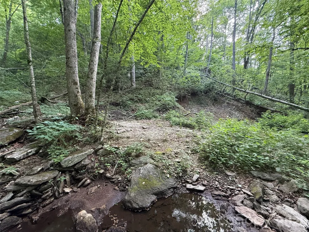 64 Clay View Drive Fairview, NC 28730