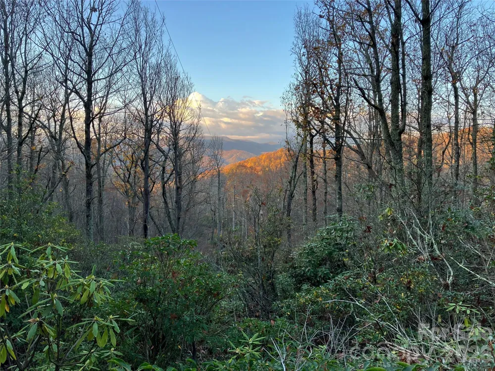 64 Clay View Drive Fairview, NC 28730