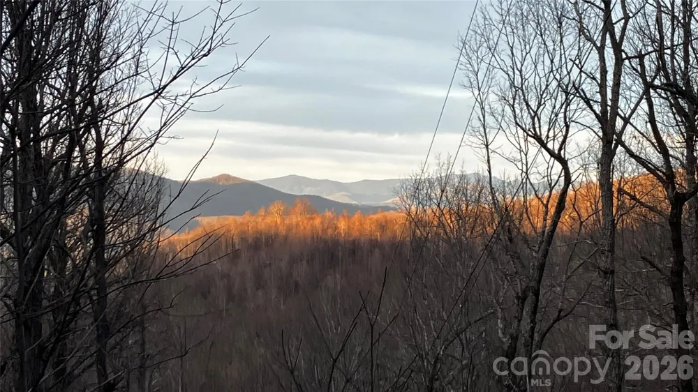 64 Clay View Drive Fairview, NC 28730
