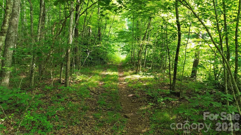 64 Clay View Drive Fairview, NC 28730