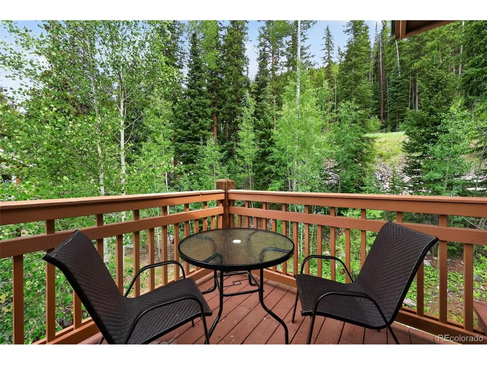 89 Tip Top Trail #6533 Dillon, CO 80435