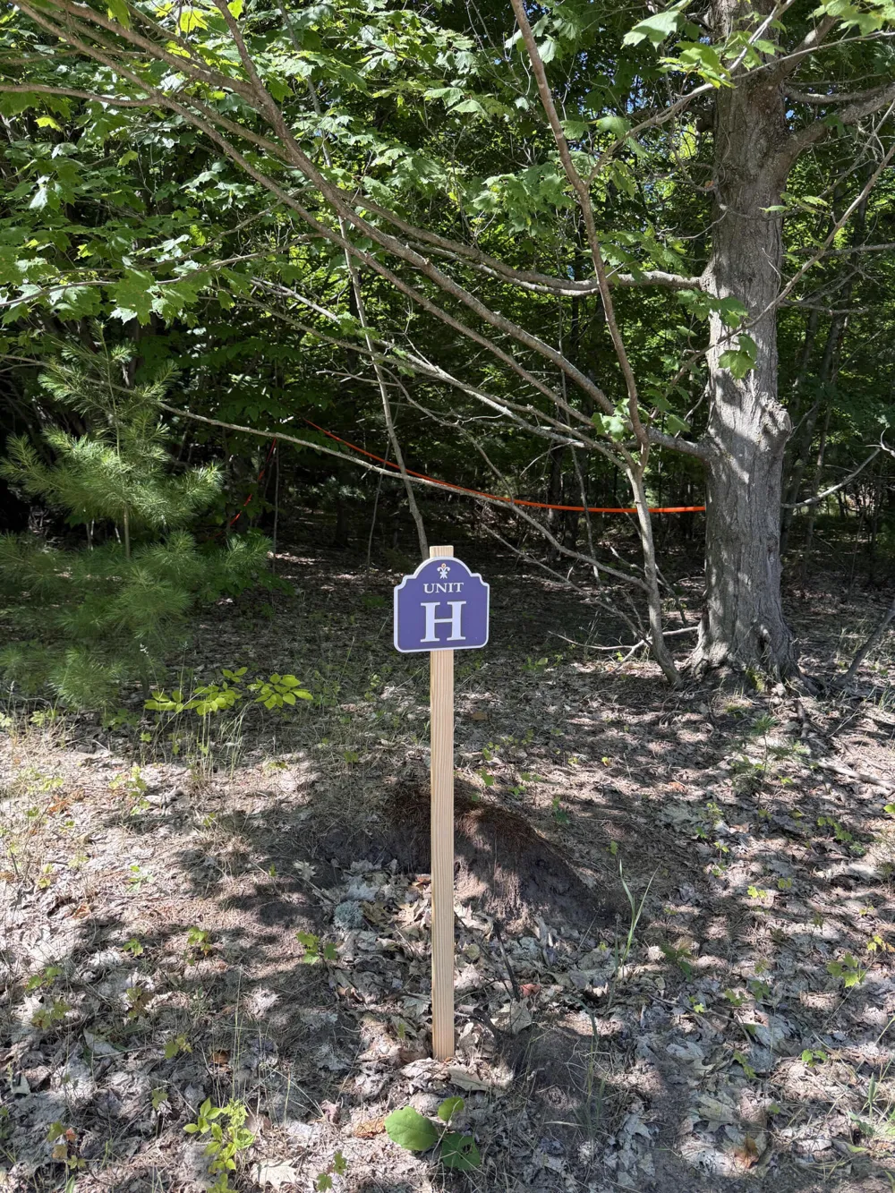 Sadie Ln #Parcel 'H' Bear Lake, MI 49614