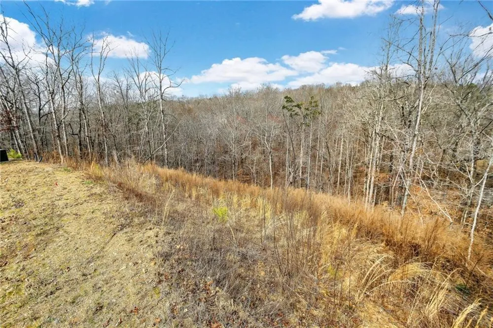 7070 Hammock Trail Gainesville, GA 30506