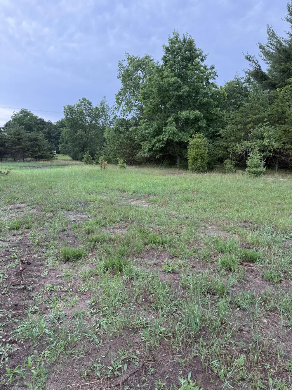 Sadie Ln #Parcel ''I'' Bear Lake, MI 49614