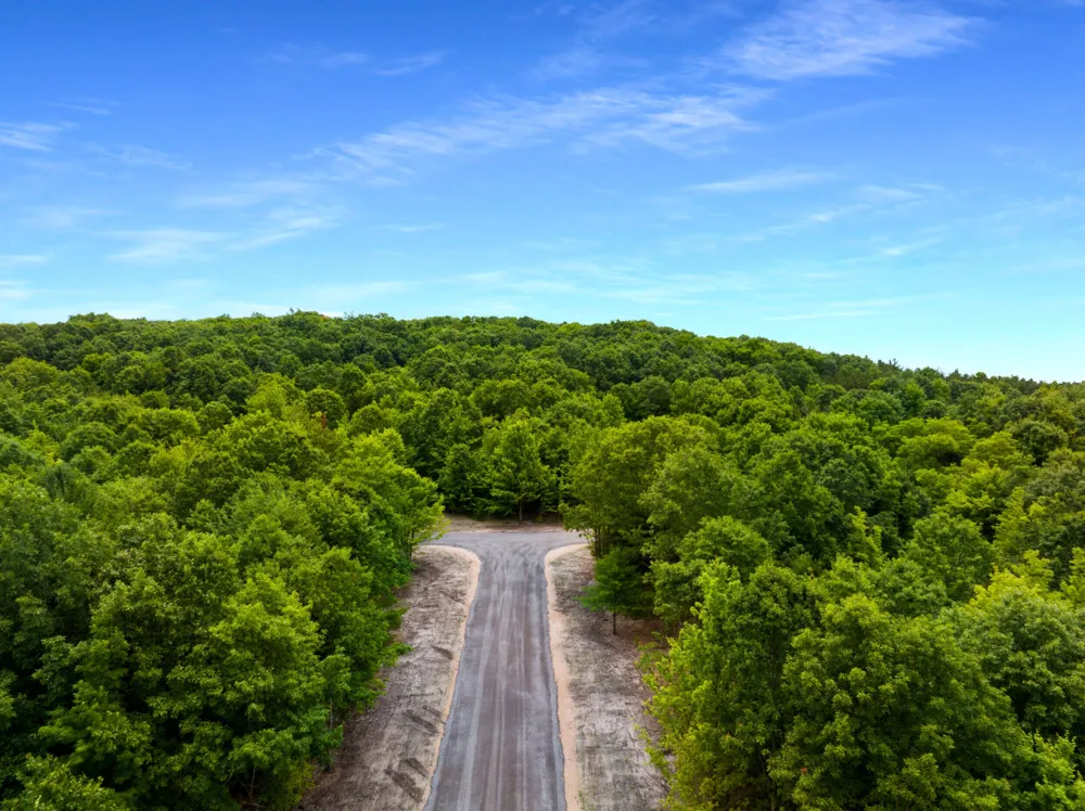 Sadie Ln #Parcel ''I'' Bear Lake, MI 49614