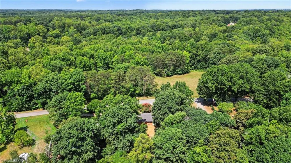 911 Harrison Crossroad Loop Reidsville, NC 27230