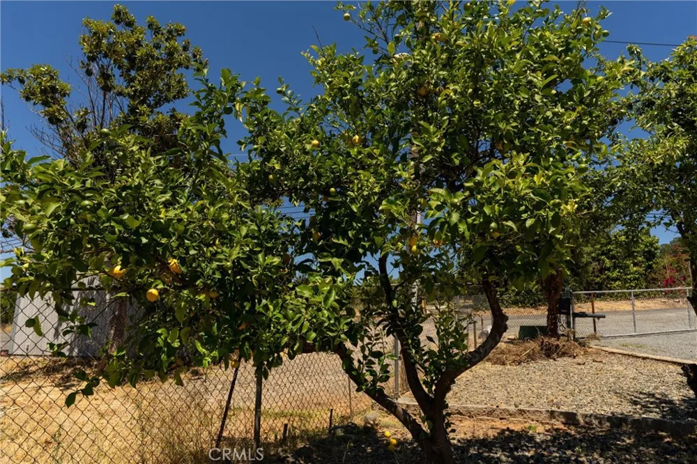 1190 Mount Ida Oroville, CA 95966