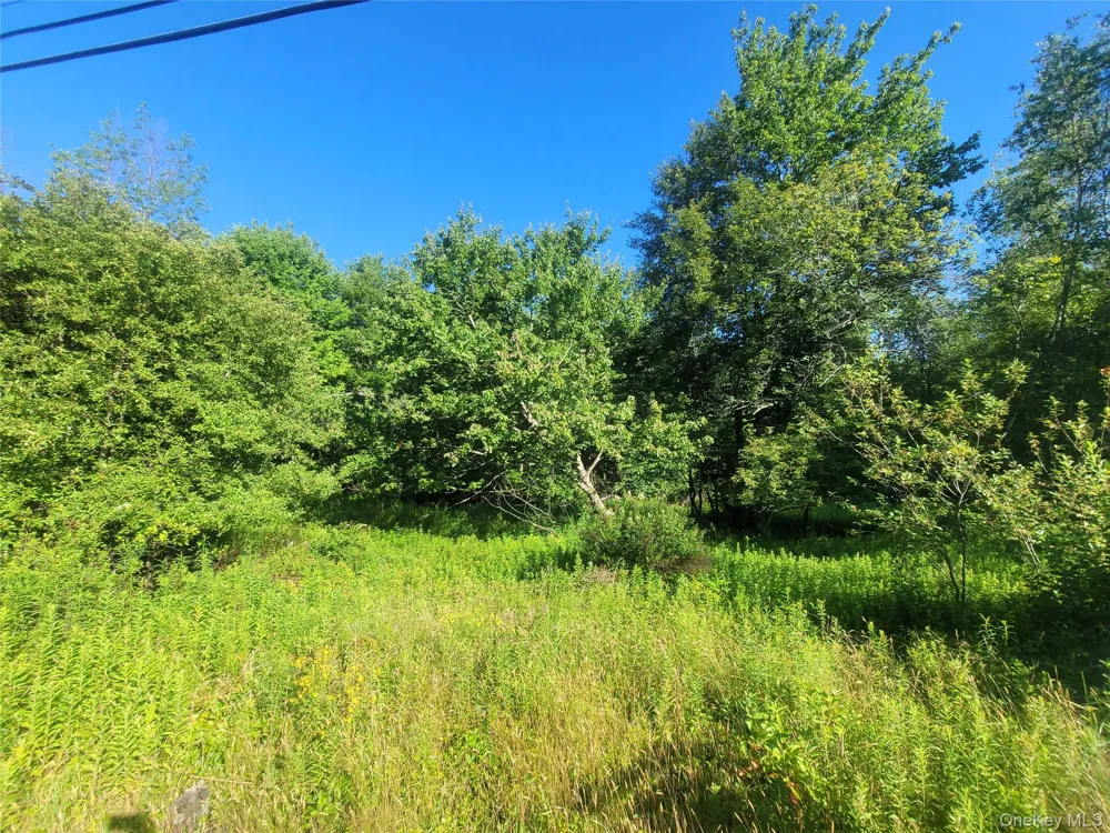 55 State Street Liberty, NY 12754