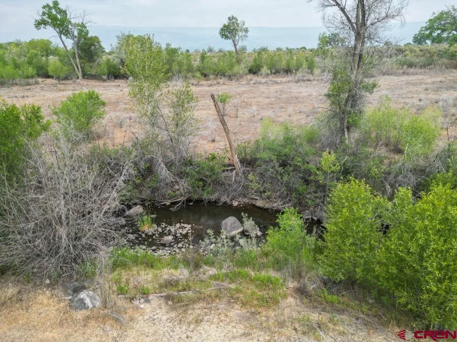 14551 Highway 65 Eckert, CO 81418