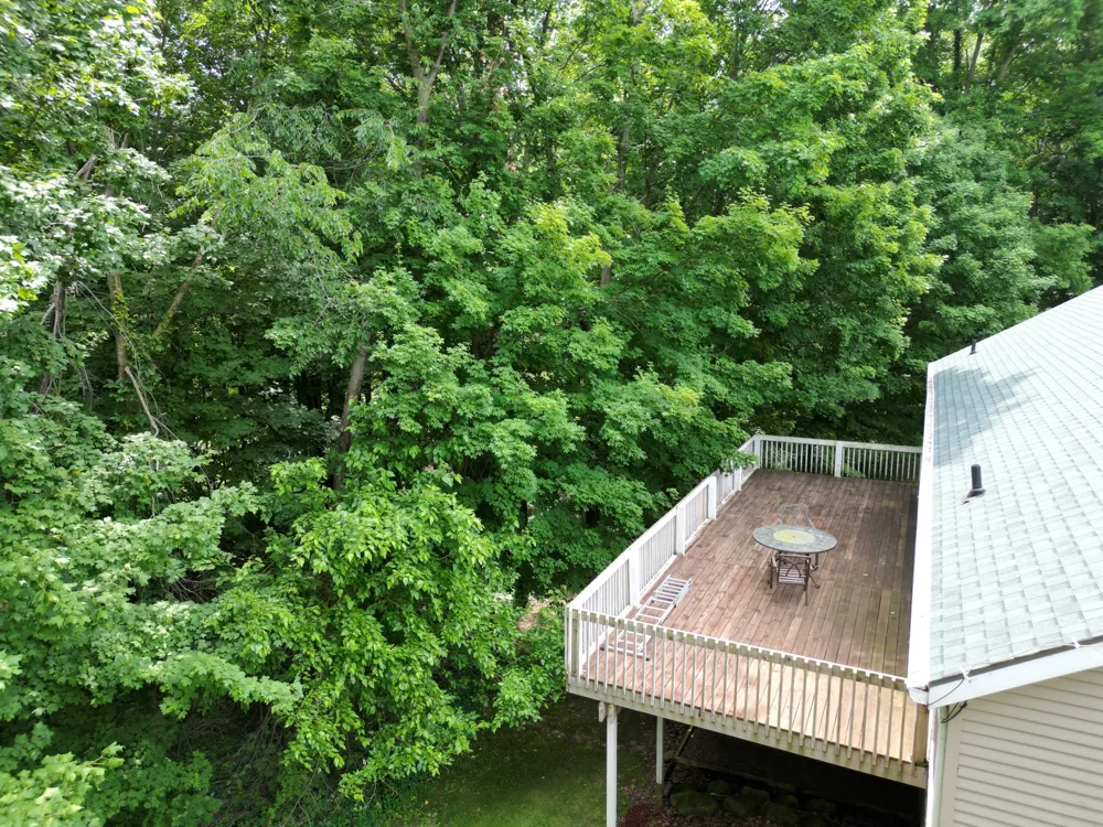 5441 Crooked Crk Road Berlin Township, MI 48881