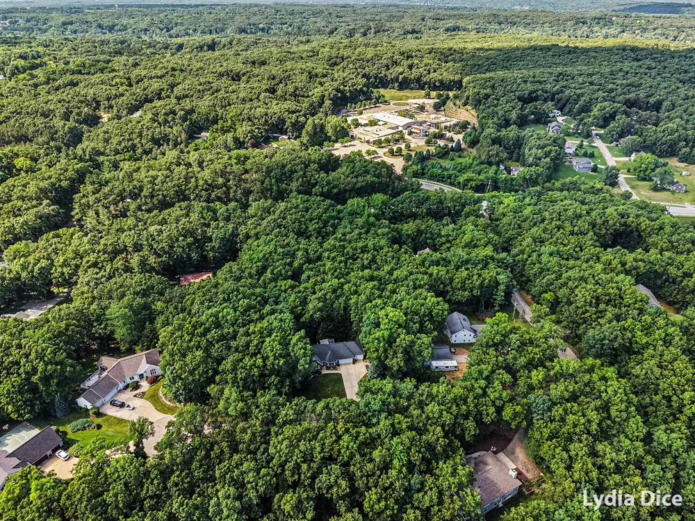 4282 Knapp Valley Court NE Grand Rapids Charter Township, MI 49525