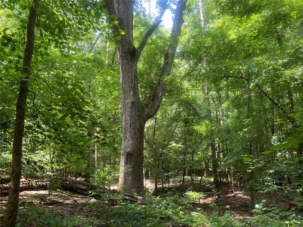 2983 Mallorysville Road Other, GA 30668