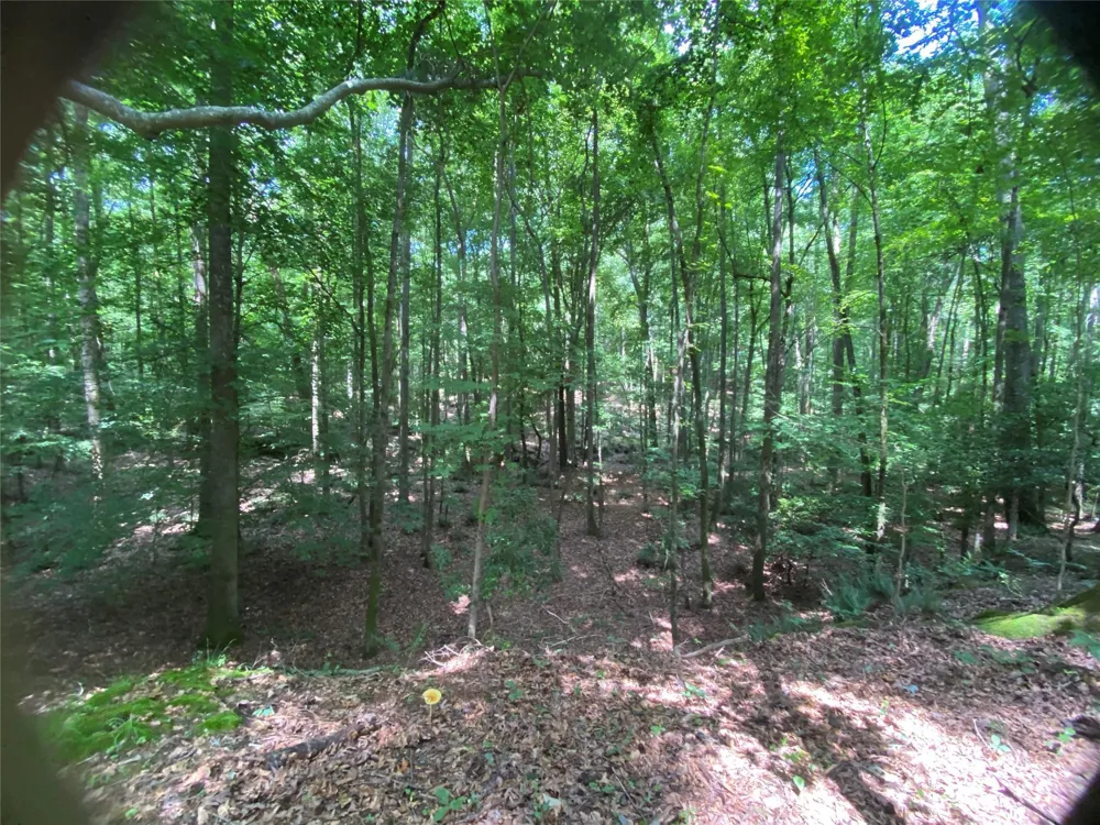 2983 Mallorysville Road Other, GA 30668