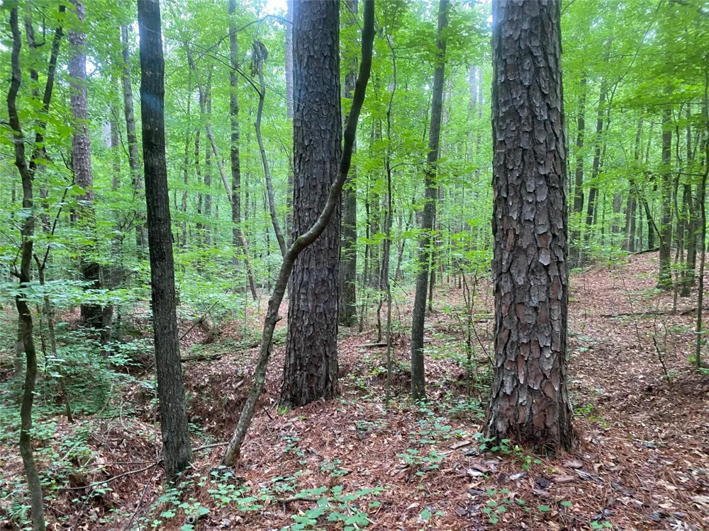 2983 Mallorysville Road Other, GA 30668