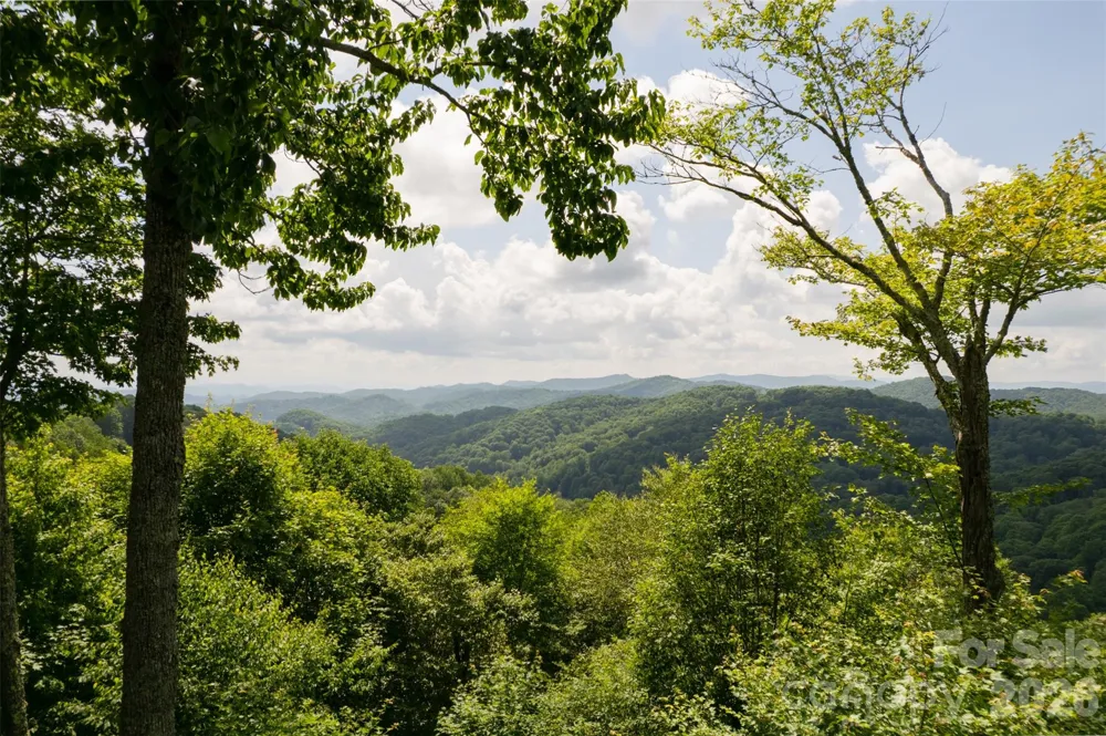 3182 El Miner Drive Mars Hill, NC 28754