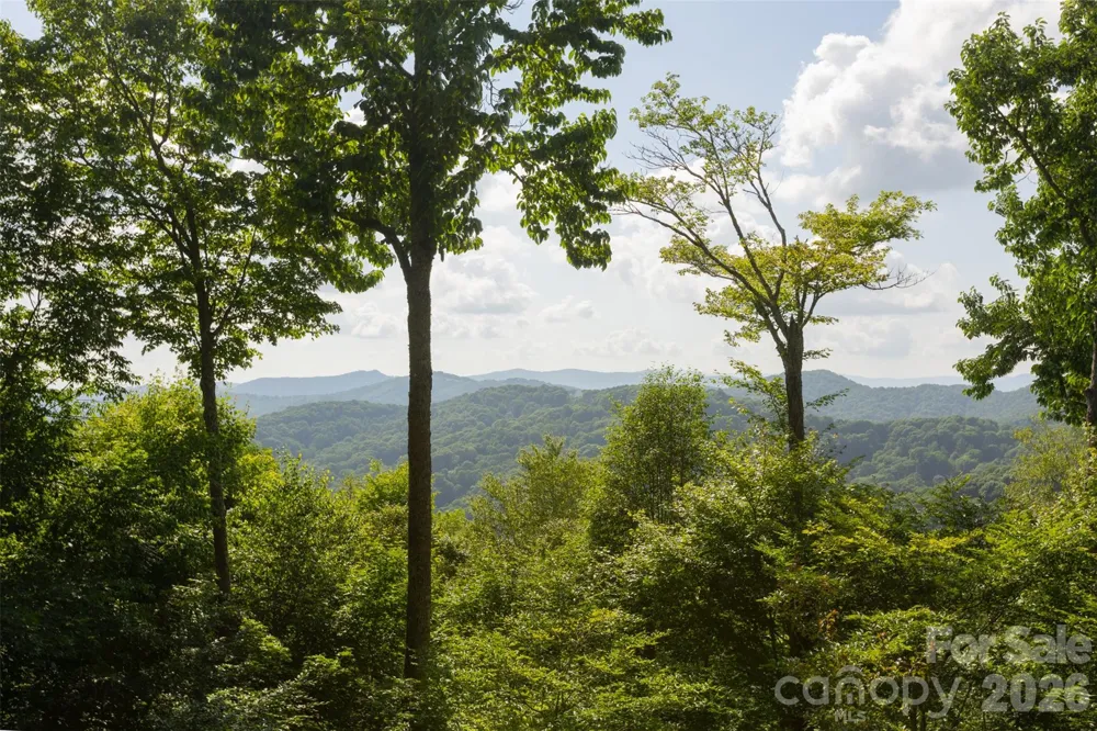 3182 El Miner Drive Mars Hill, NC 28754