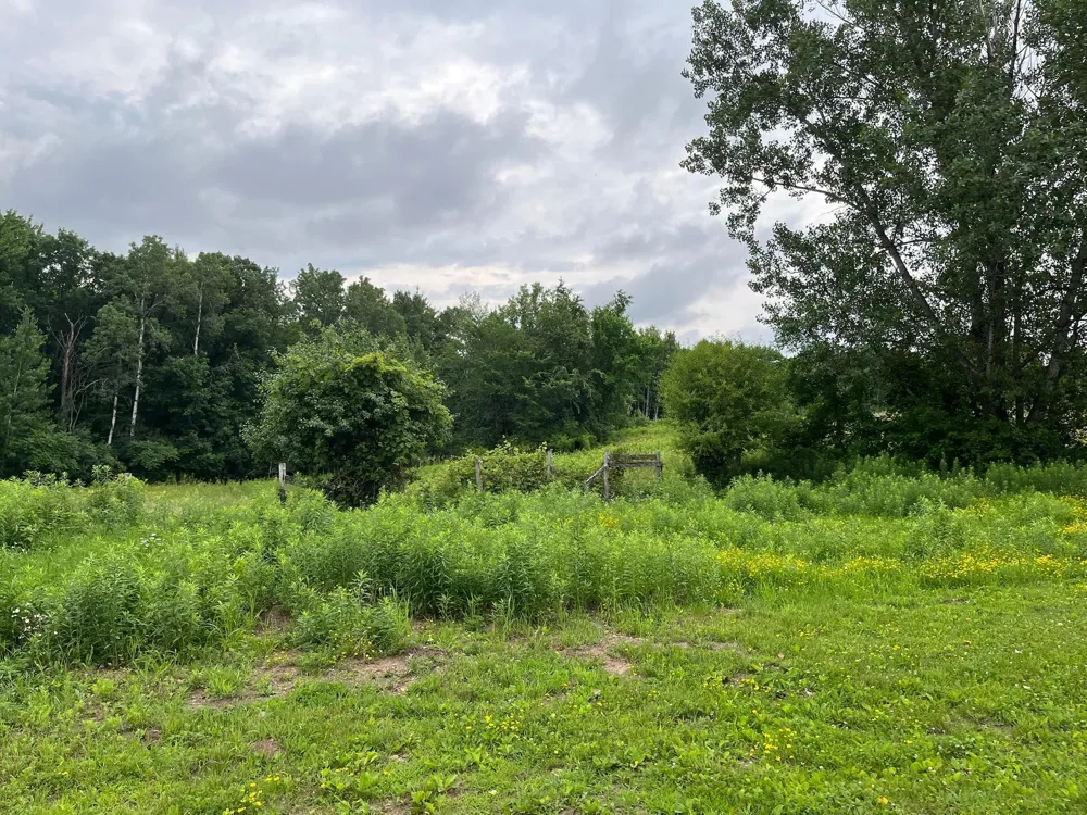 2203 100th Street Somerset, WI 54025
