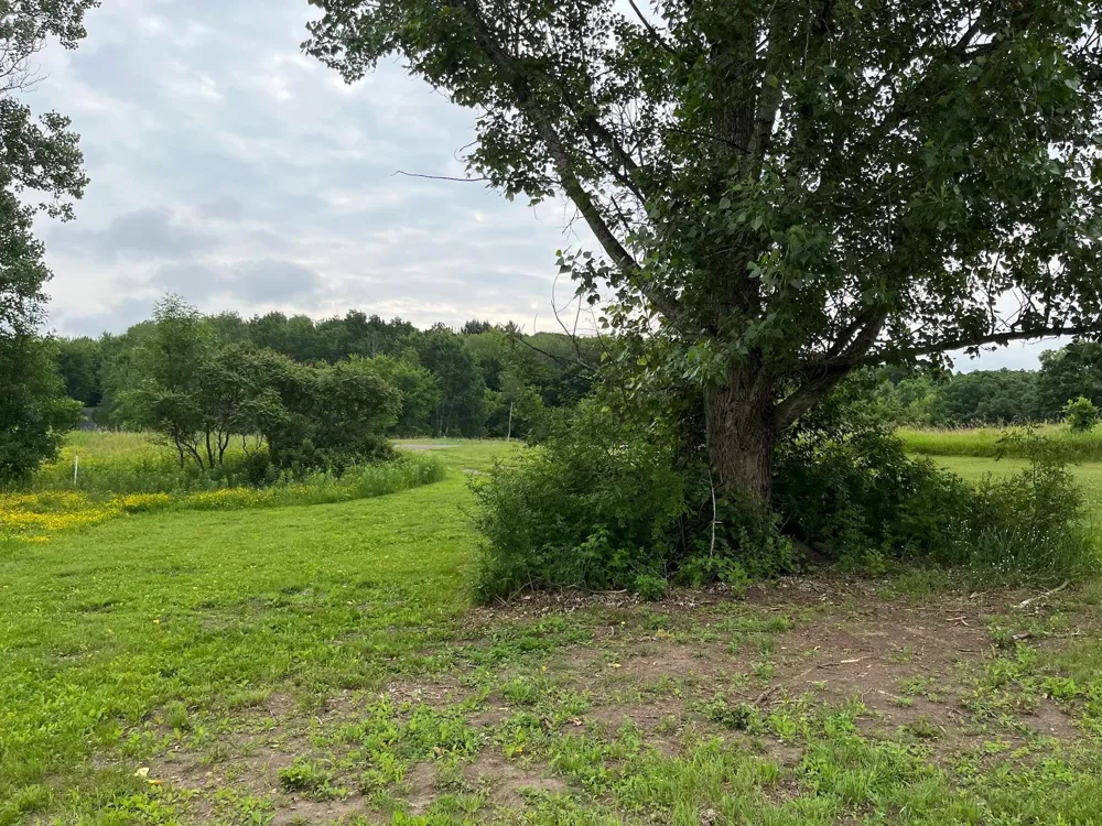 2203 100th Street Somerset, WI 54025