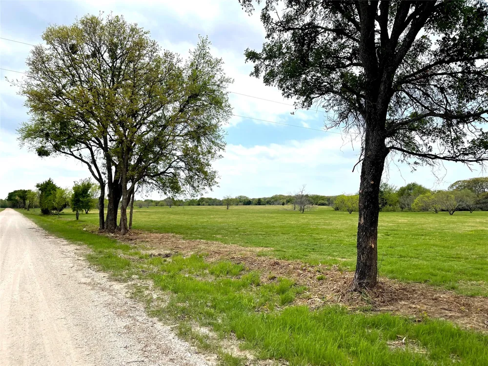 William Brewer Road Tioga, TX 76271