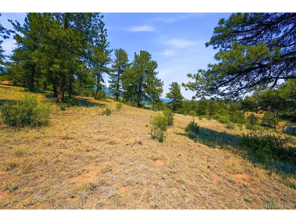 61 Cline Drive Shawnee, CO 80475