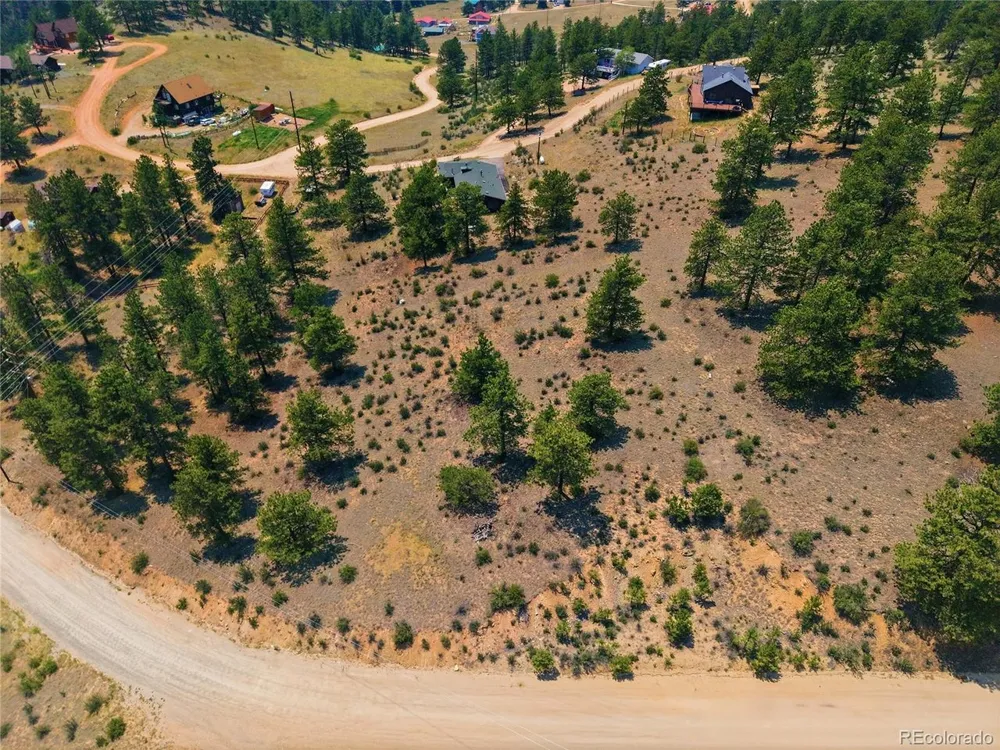 61 Cline Drive Shawnee, CO 80475