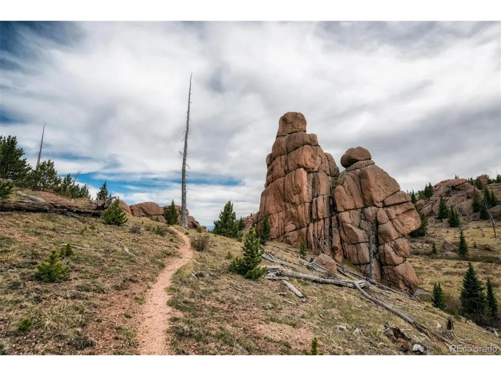 61 Cline Drive Shawnee, CO 80475
