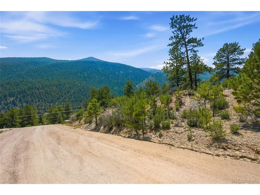 61 Cline Drive Shawnee, CO 80475
