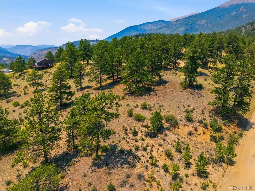 61 Cline Drive Shawnee, CO 80475