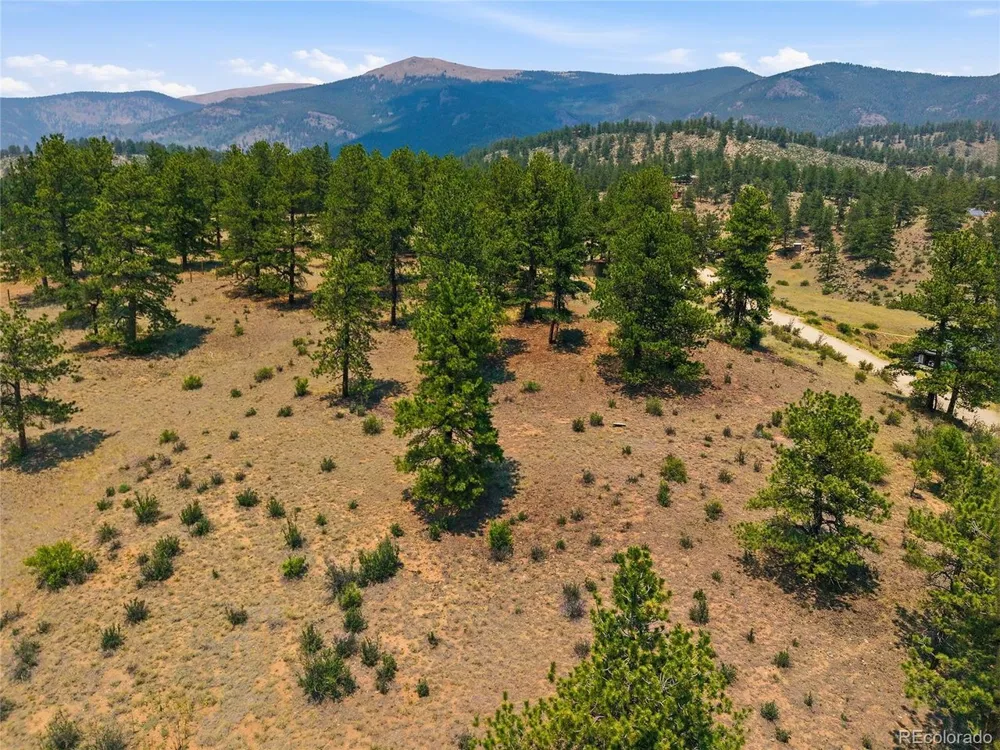 61 Cline Drive Shawnee, CO 80475