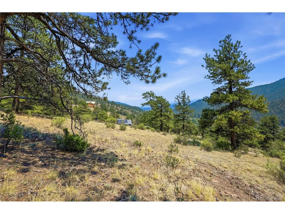 61 Cline Drive Shawnee, CO 80475