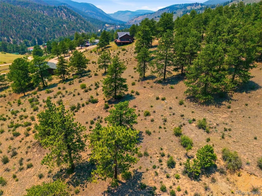 61 Cline Drive Shawnee, CO 80475