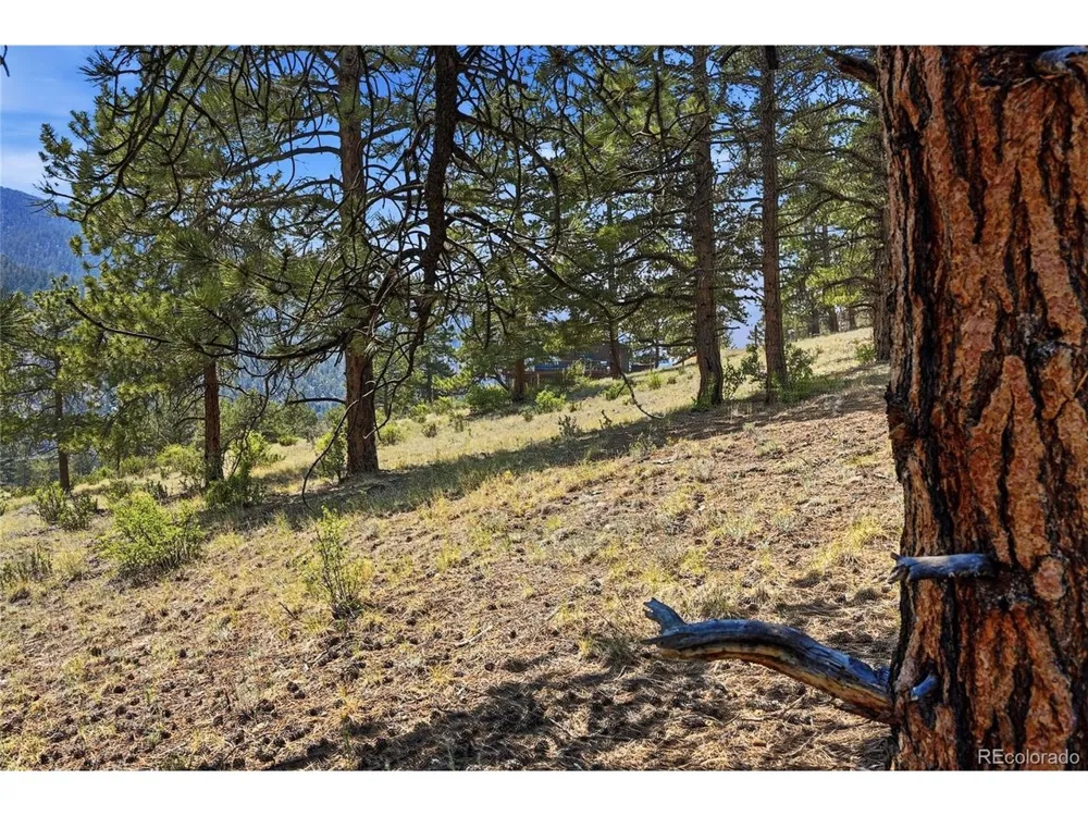 61 Cline Drive Shawnee, CO 80475