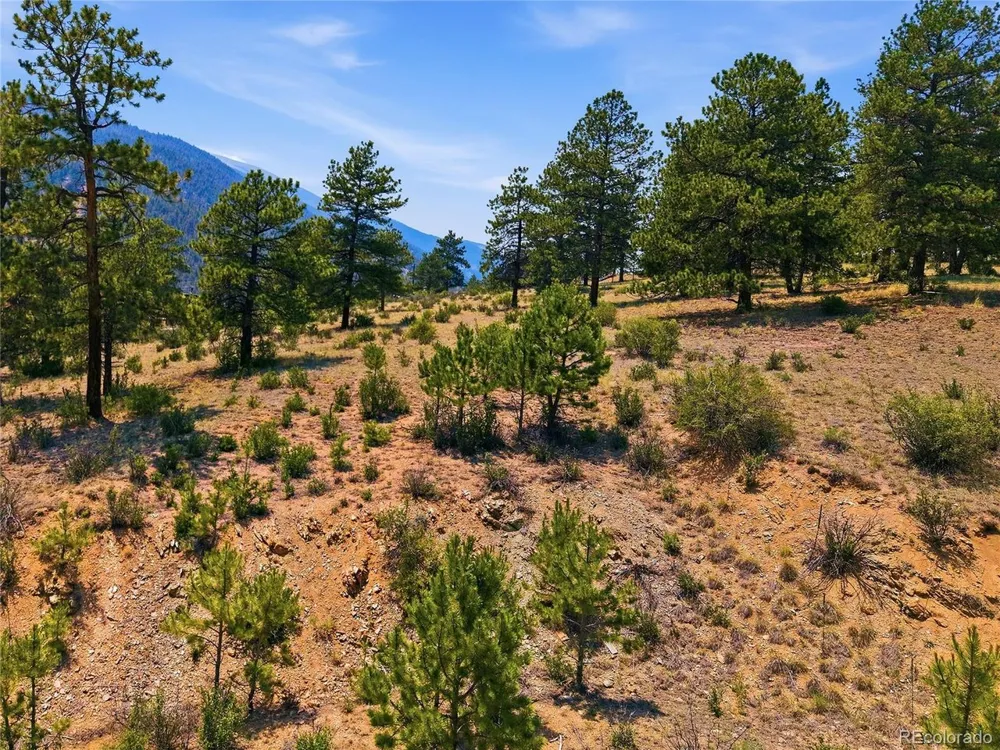 61 Cline Drive Shawnee, CO 80475