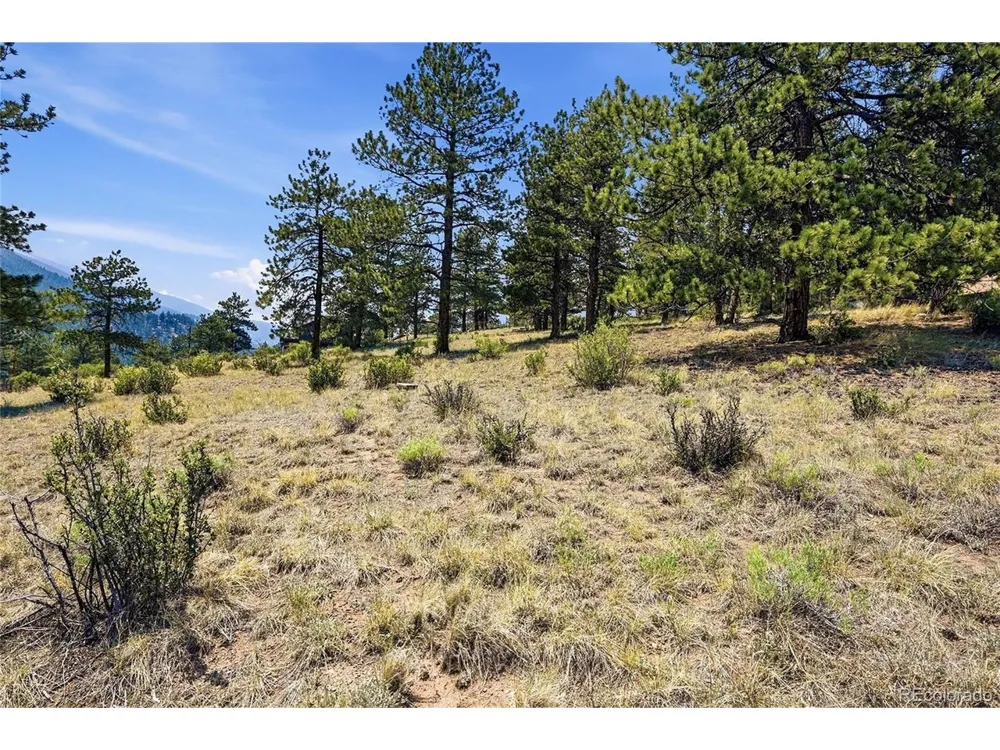 61 Cline Drive Shawnee, CO 80475