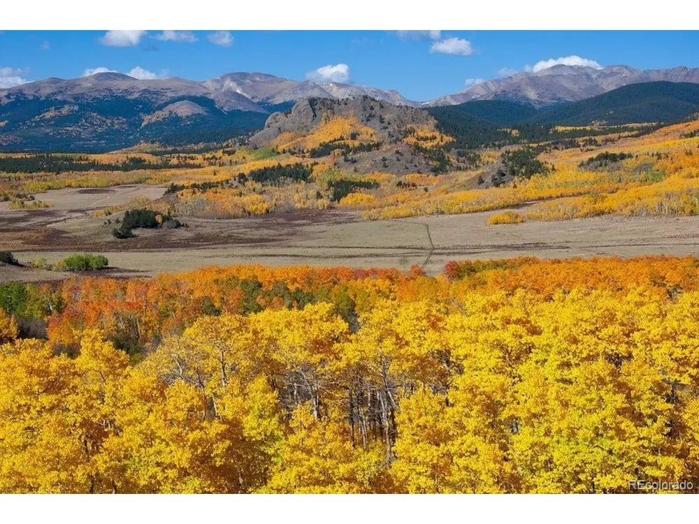 61 Cline Drive Shawnee, CO 80475