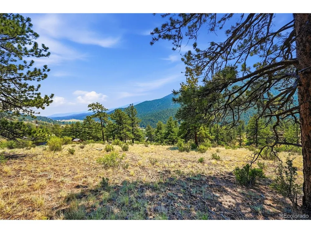 61 Cline Drive Shawnee, CO 80475
