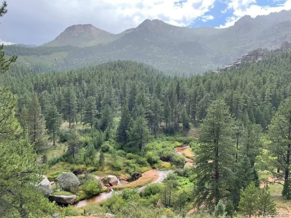 61 Cline Drive Shawnee, CO 80475