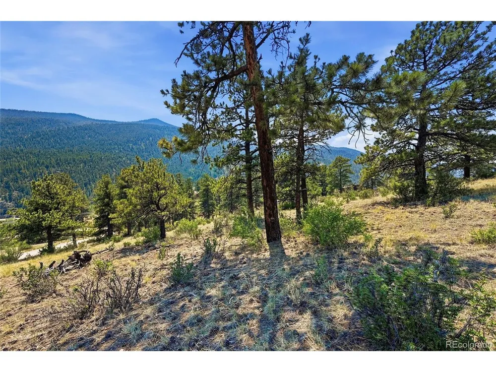 61 Cline Drive Shawnee, CO 80475