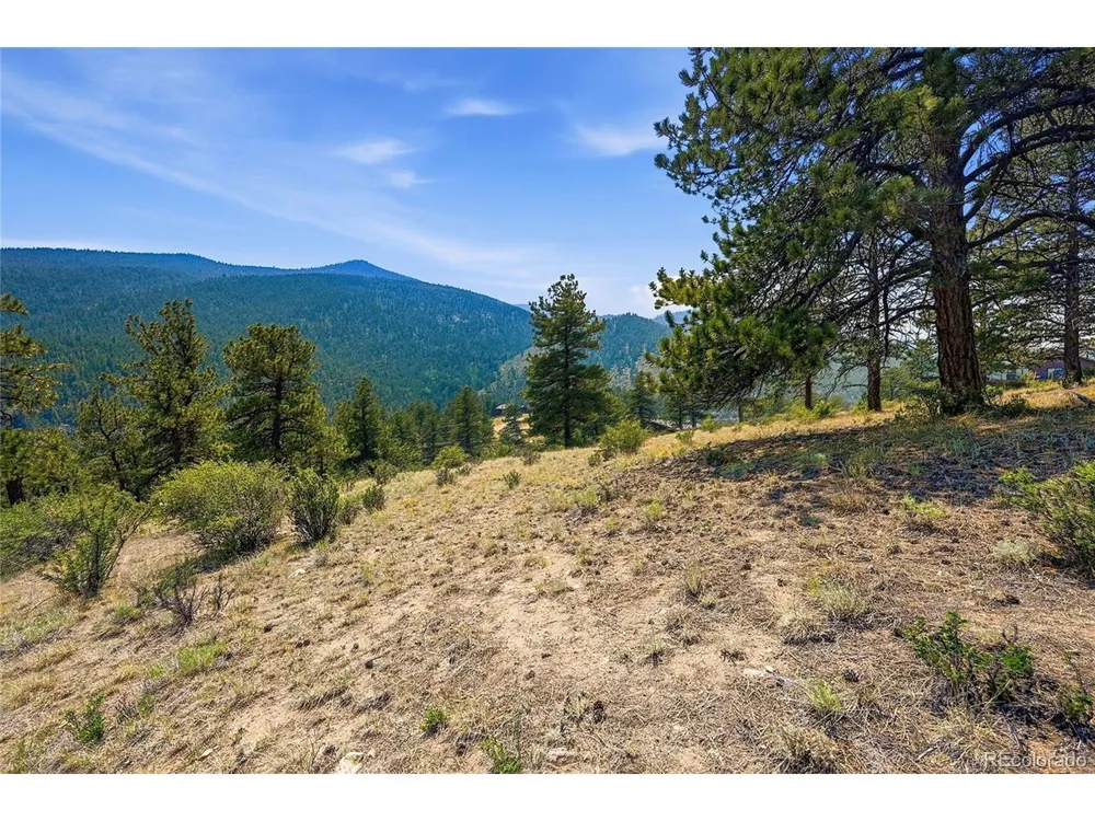 61 Cline Drive Shawnee, CO 80475