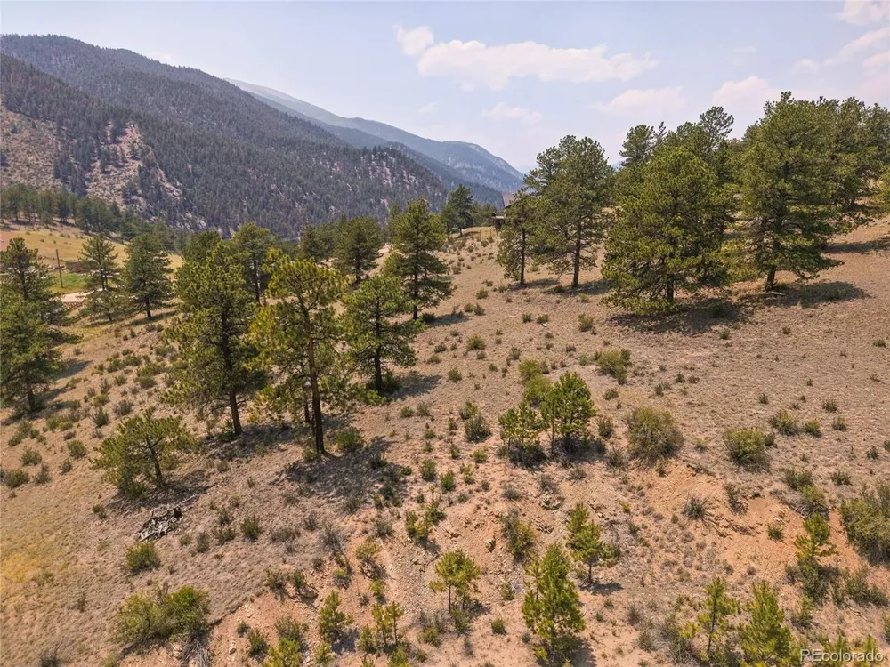 61 Cline Drive Shawnee, CO 80475