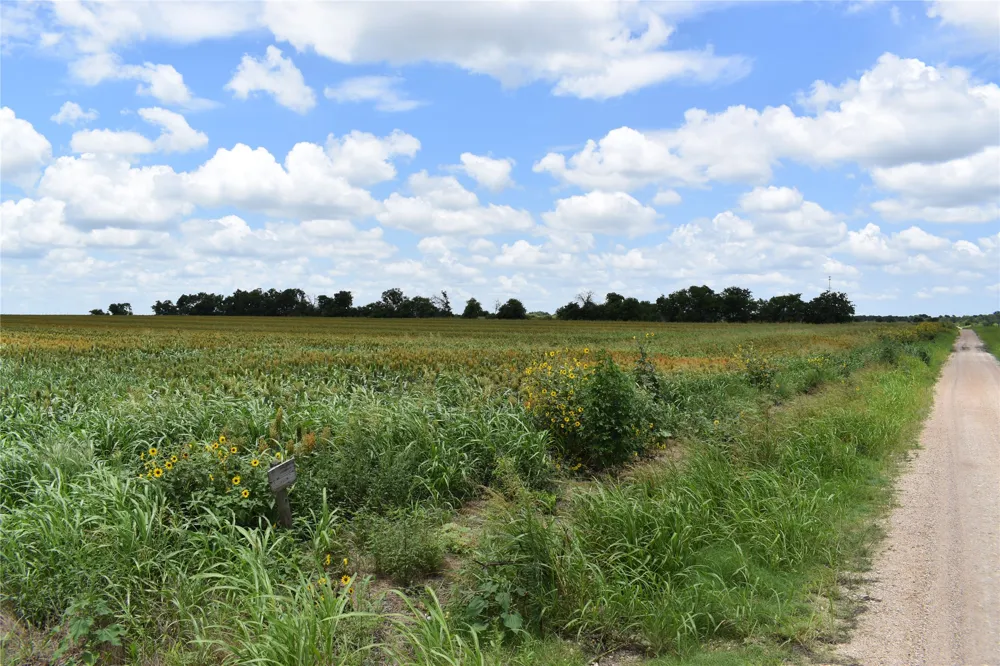 County Road 109 Buckholts, TX 76518