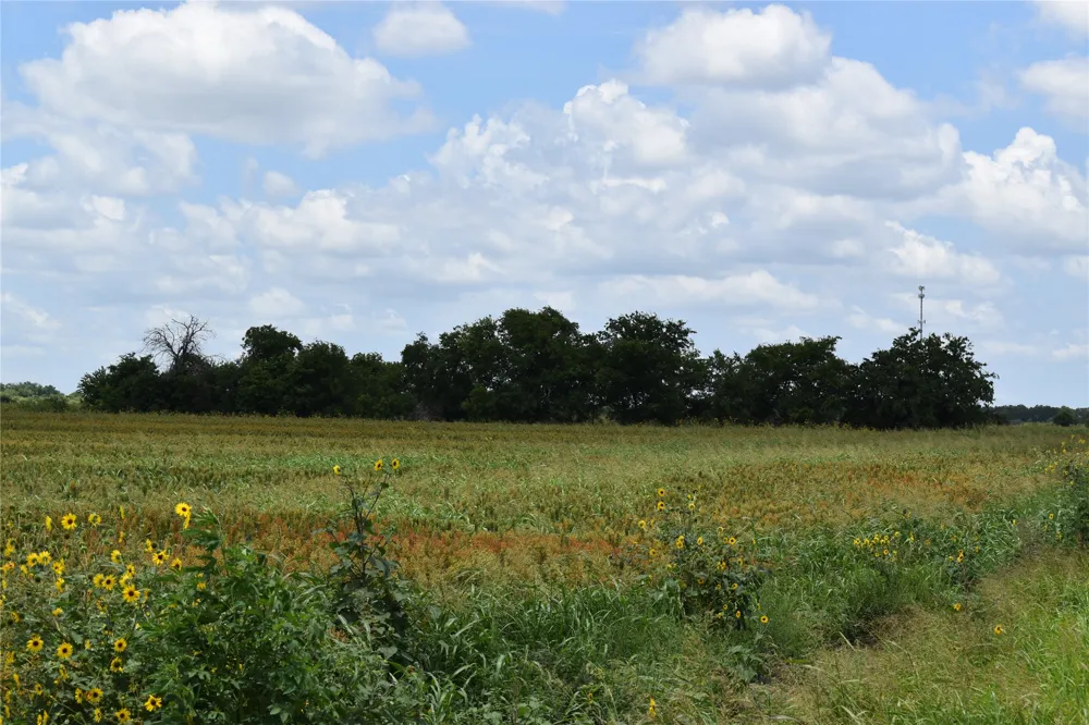 County Road 109 Buckholts, TX 76518