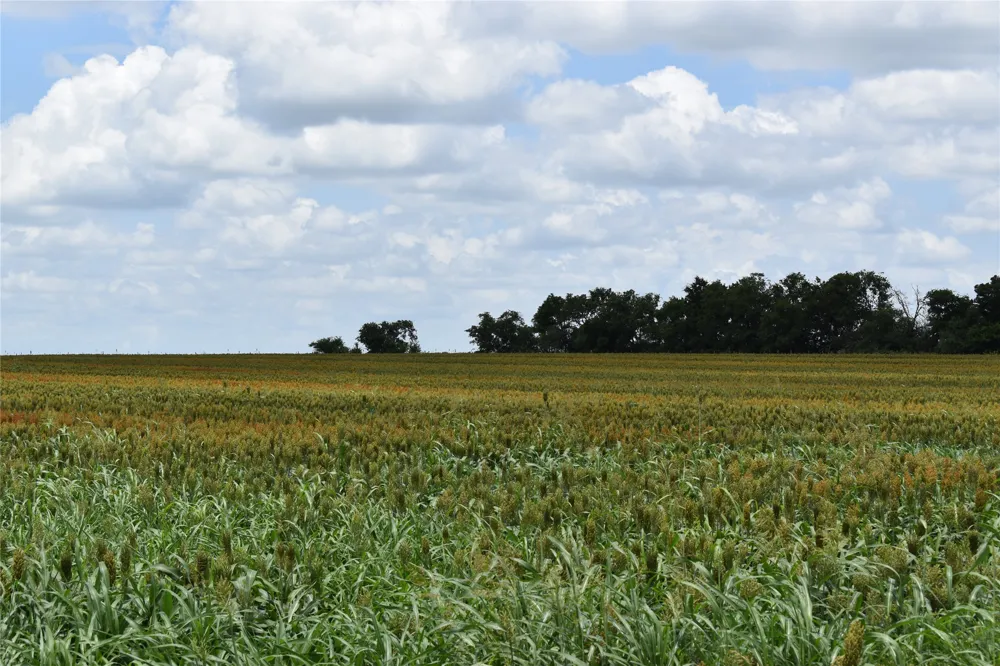 County Road 109 Buckholts, TX 76518