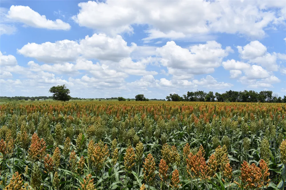 County Road 109 Buckholts, TX 76518