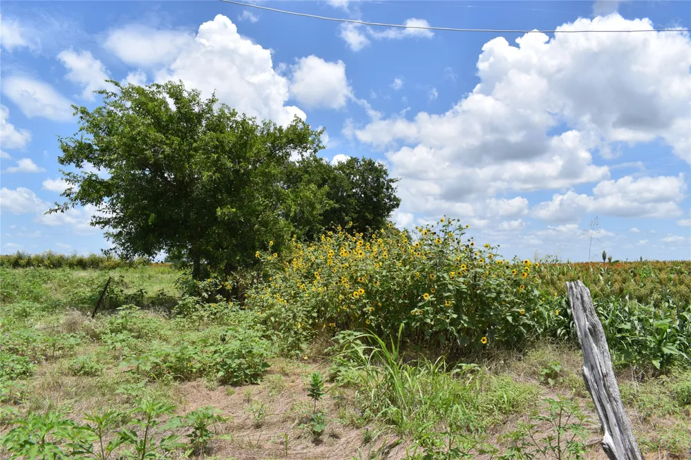 County Road 109 Buckholts, TX 76518