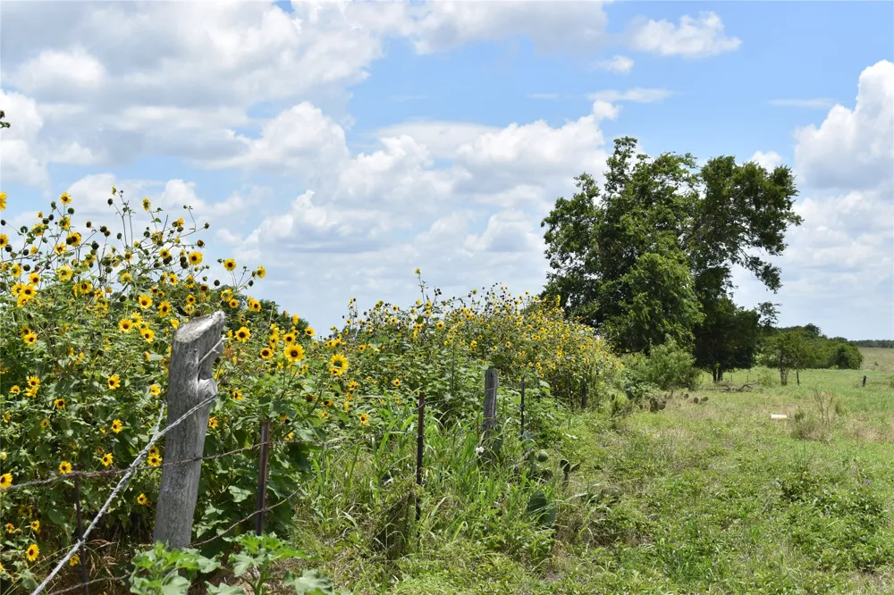 County Road 109 Buckholts, TX 76518