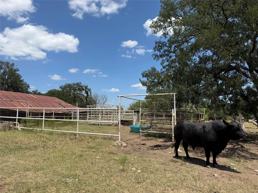 10047 E State Highway 36 Jonesboro, TX 76538