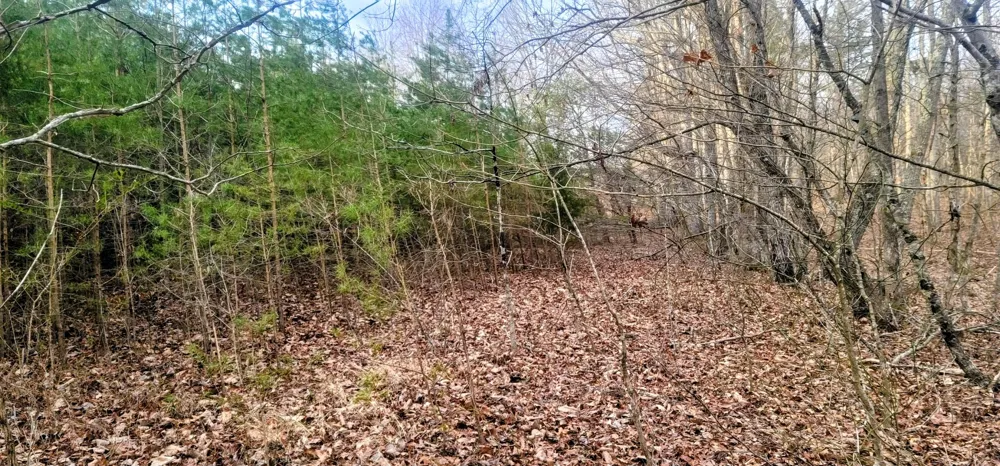 2323 College St Spencer, TN 38585