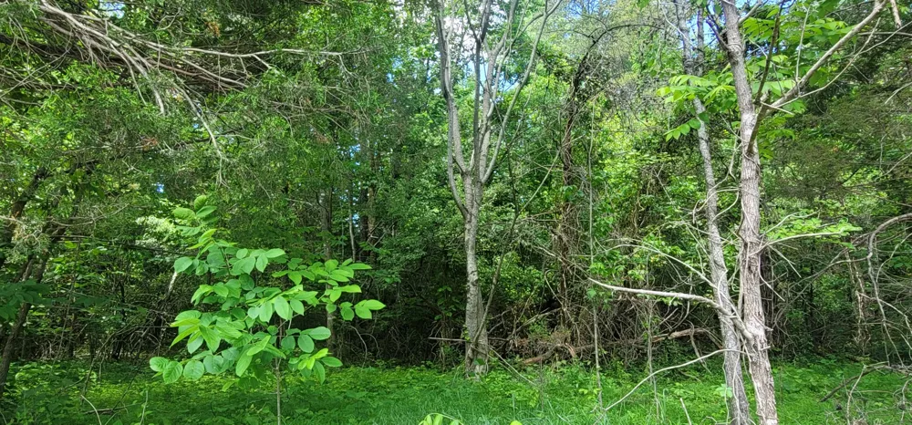 2323 College St Spencer, TN 38585